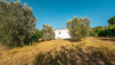 Finca rústica en venta en San Roque