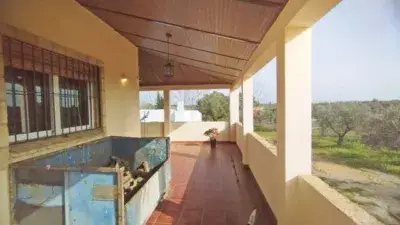 Casa con Piscina en La Palma del Condado