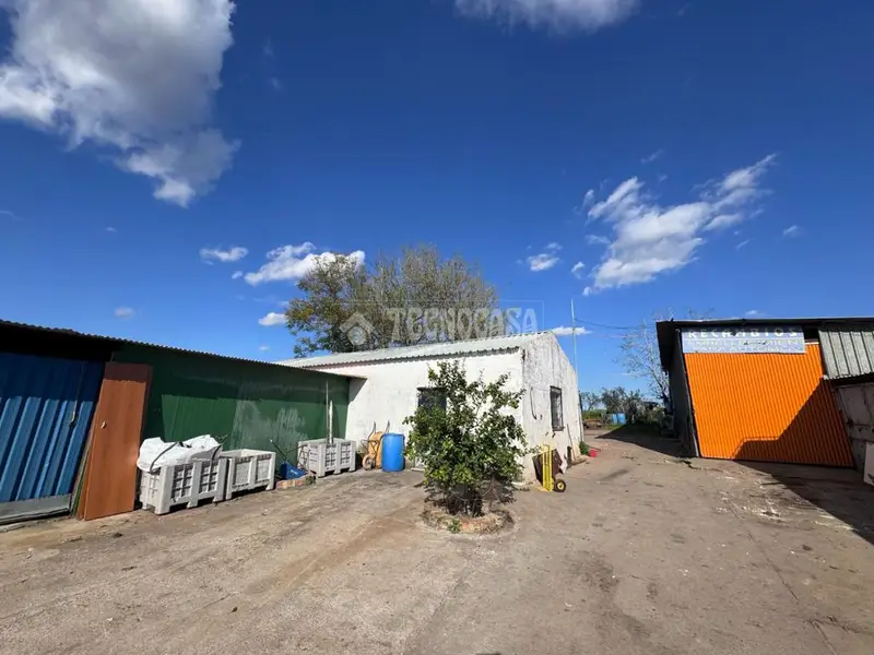 Finca Rustica en Sevilla con Olivar y Naves