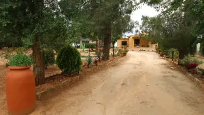 Finca rústica en venta en Calle Crta Barrax, Número Sn