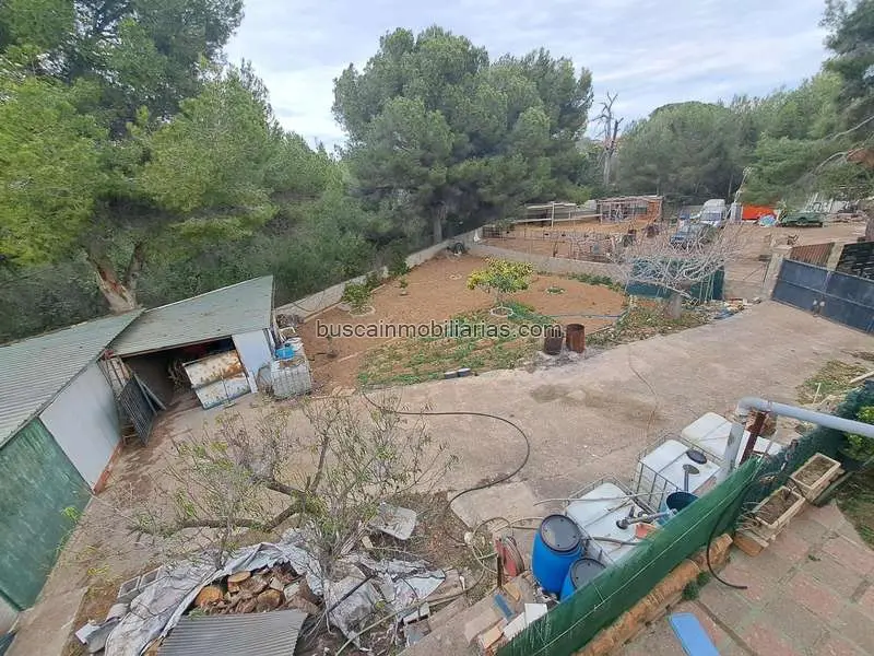 Parcela Rustica en Venta Montserrat Colonia de la Cova