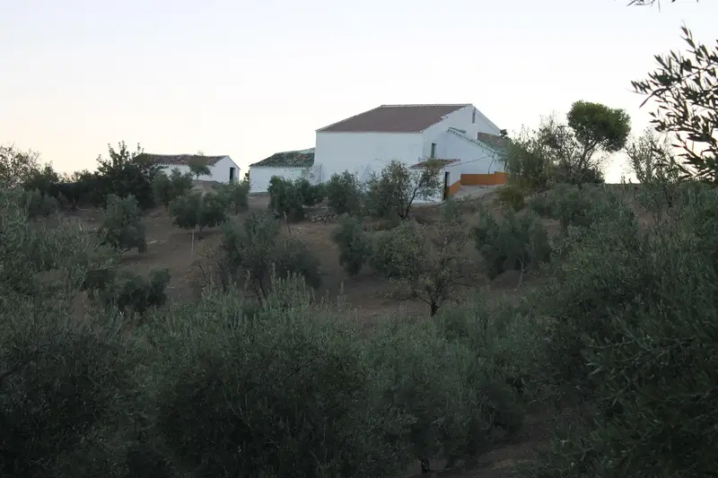 Venta Casa en Andalucia El Gastor Finca con Cortijo