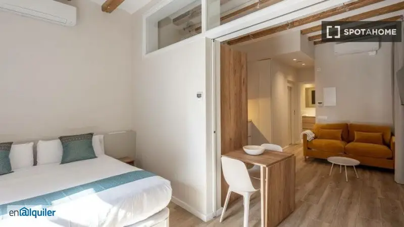 Apartamento 1 Dormitorio El Gòtic Barcelona