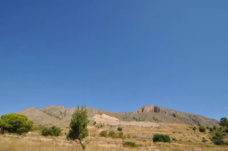 Terrenos en Venta Murcia Macisvenda