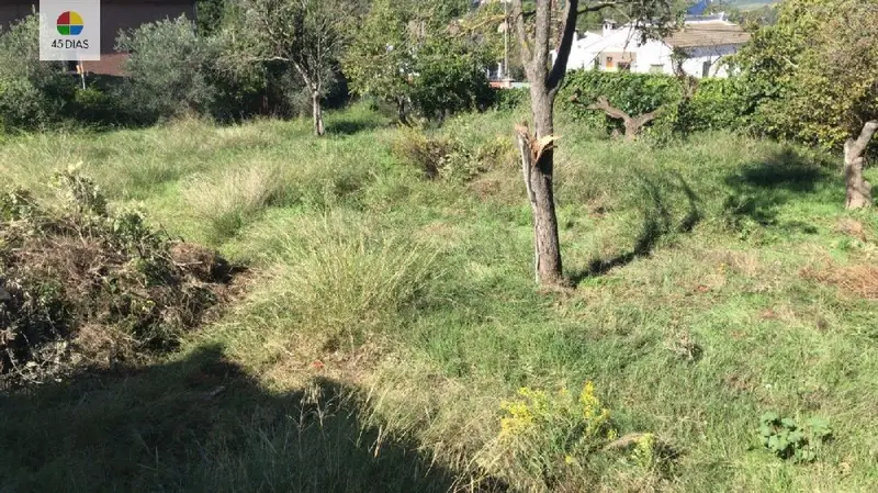 Venta Parcela Buenas Vistas Cabrera D Anoia Igualada