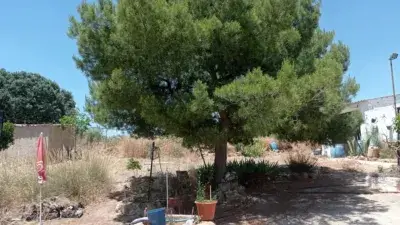 Finca Rustica en Venta Valdepe	ñas con Olivos y Placas Solares