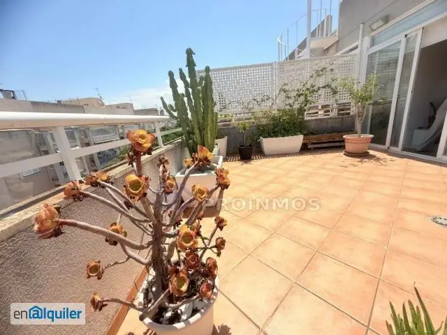 Alquiler Atico Palma 3 Dormitorios Terraza 40m2 Garaje