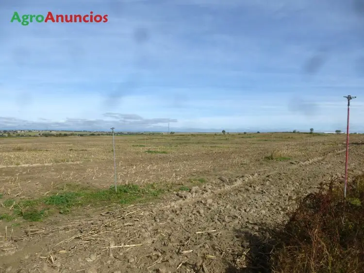 Venta  de Finca de regadío con pívots y cobertura en Toledo