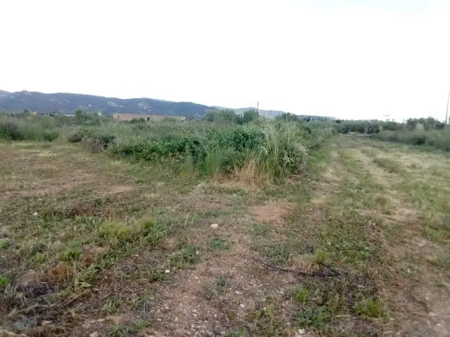 Finca Rustica 906 m2 Sin Cultivar