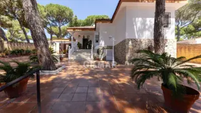 Chalet en venta en Centro Alcalá de Guadaira