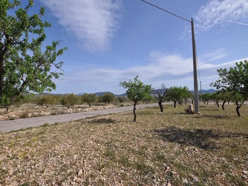 Parcelas en Venta en Salinas Alicante