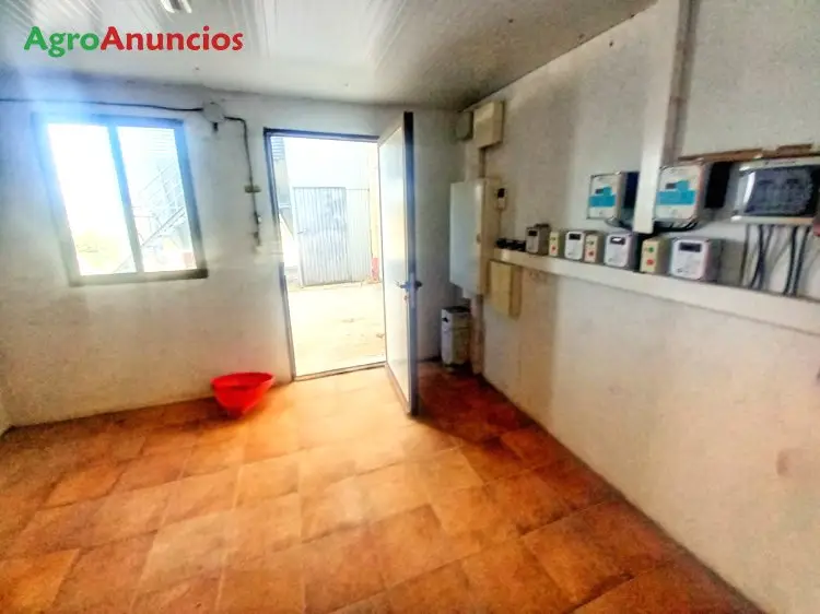 Venta  de Nave ganadera en Burgos