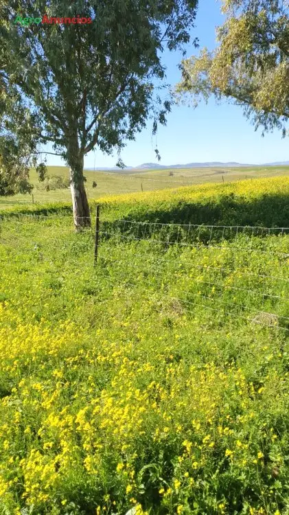 Venta  de Finca rústica con casa y naves en Badajoz