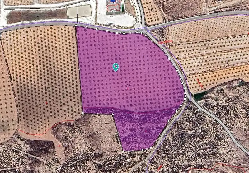 Terreno en Venta cerca de Pinoso 27528m2