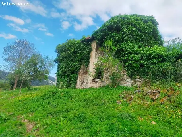 Parcela con Ruinas en Candamo Asturias