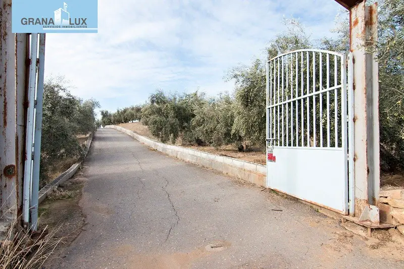 Venta Finca 46 Hectareas Olivos Santa Barbara Loja