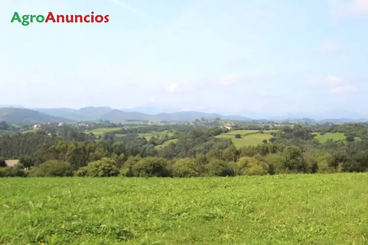 Venta  de Finca rústica con vistas a picos de europa y al mar en Cantabria