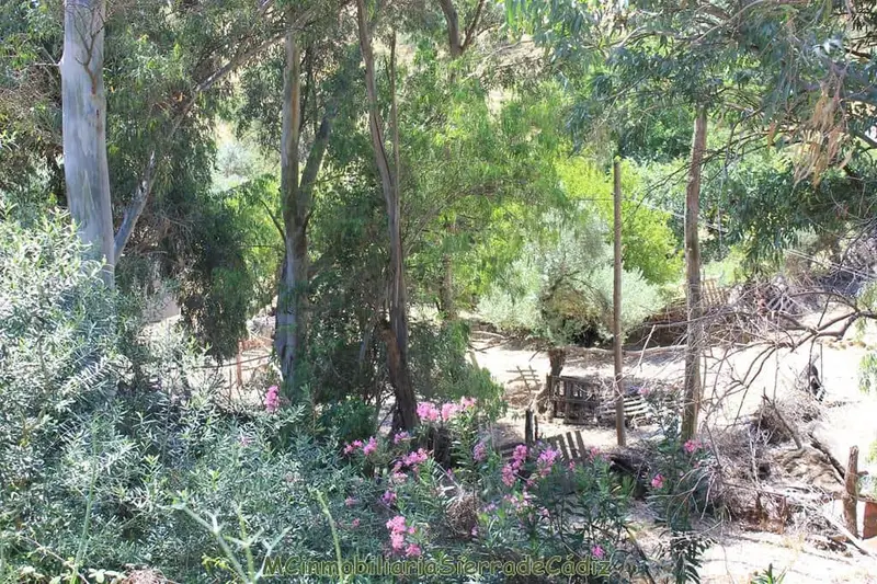 Finca Rustica con Dos Casas y Cuadra en El Gastor