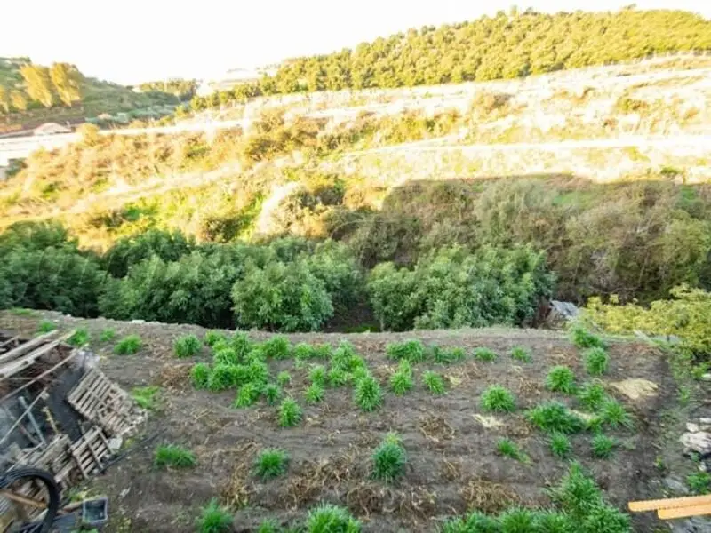 Parcela Urbanizable Torrox Pueblo Vistas Verdes 3785m2
