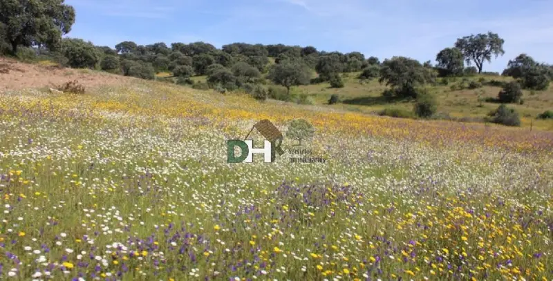 Venta Finca Rustica 80 Hectareas Caceres