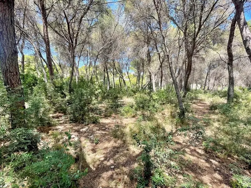 Terreno en Venta Moraira 876m2 Cerca de la Playa