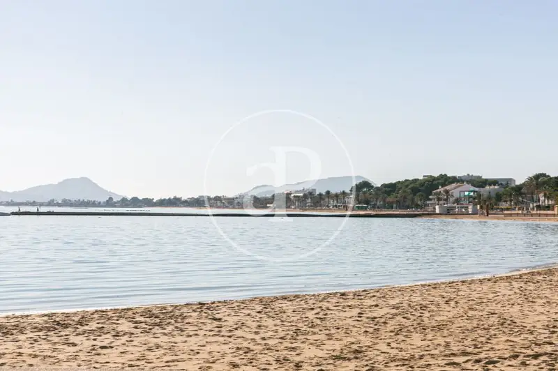 Apartamento Planta Baja Puerto Pollensa 2 Dormitorios Terraza Piscina