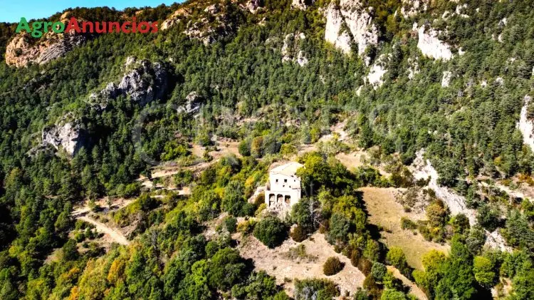 Venta  de Finca forestal y cinegética con varías masías en Barcelona