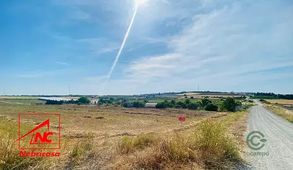 Terreno Rustico 12000m2 Regadio Las Cabezas de San Juan