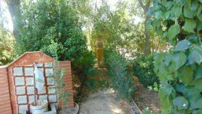 Casa en Venta en Carretera Daimiel 5 Dormitorios 3 Baños