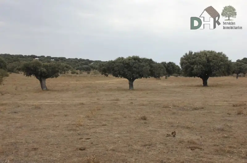 Finca Ganadera 86 Hectareas Salamanca