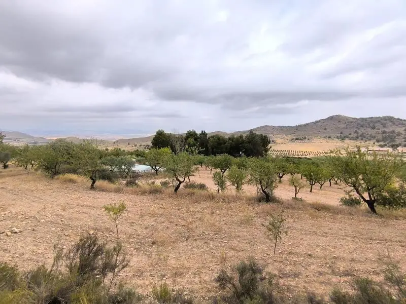 Casa de Campo en Villena con Piscina y 30000m2