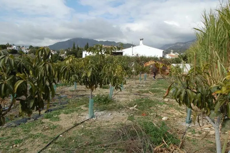 Terreno en Venta Nerja 12852m2