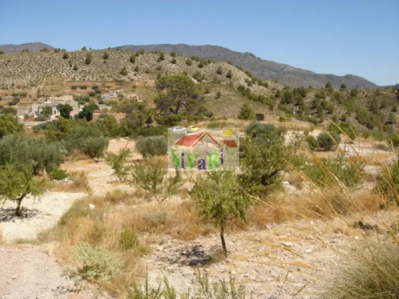 Venta Terreno en Ricote Ref 7693