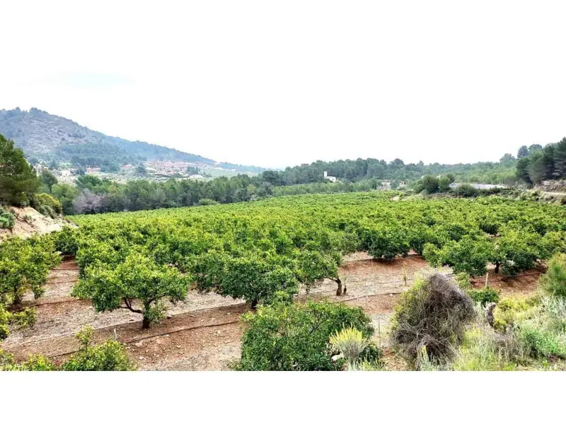 Solar/Parcela en venta en Onda, Castellón
