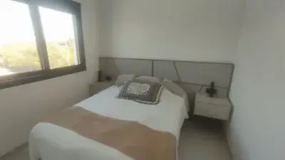 Atico en venta en Avinguda de Cervantes Guardamar del Segura