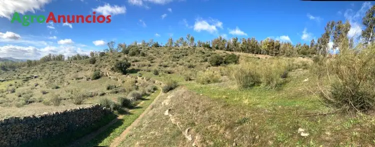 Venta  de Finca ganadera en Badajoz