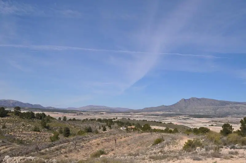 Parcelas en Venta La Zarza Murcia - Construccion Permitida