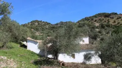 Finca Rustica en Venta El Gastor con Vistas Panoramicas