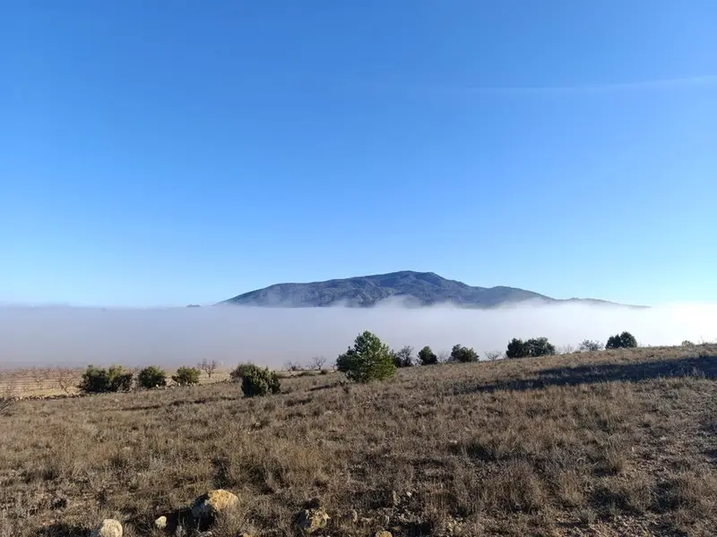 Terreno en Yecla, Murcia provincia