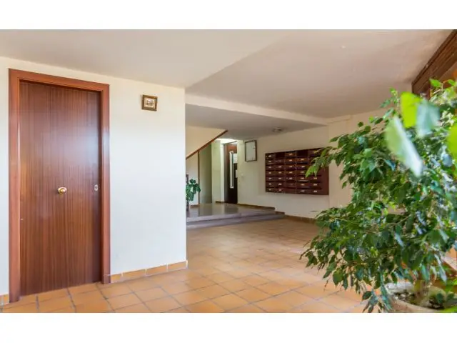 Local Comercial En Venta En Pineda De Mar, Barcelona