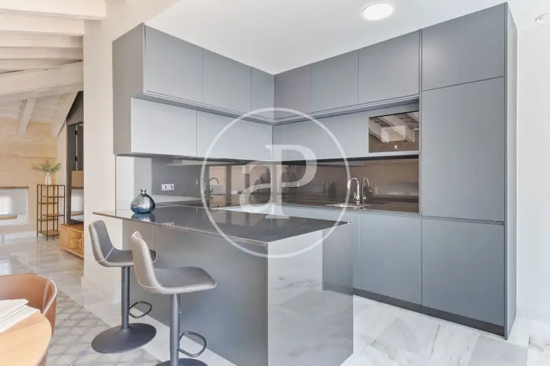 Piso en San Francesc Valencia 150m2 con Terraza 24m2