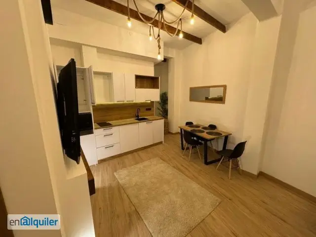 Alquiler Estudio Loft Amueblado Rascanya Terraza 15m2