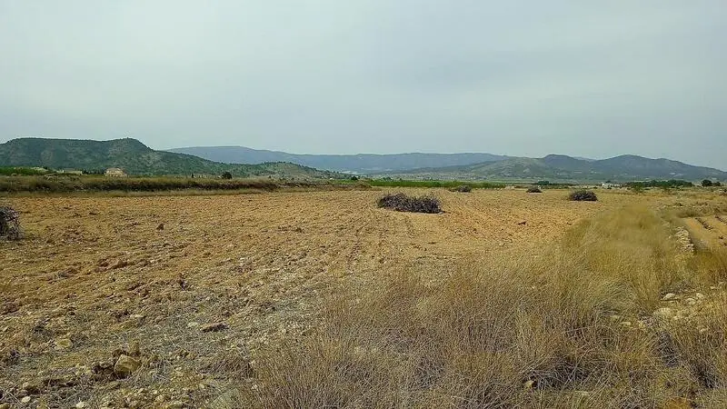 Terreno Edificable en Monóvar cerca de Casa Sanchez