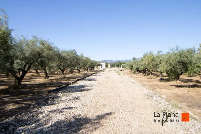 Terreno/Finca Rústica en venta en Santa Bàrbara, Tarragona