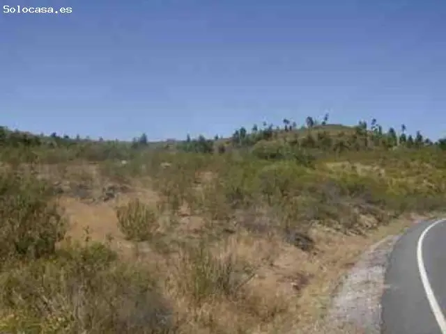 Finca Rustica 135 Hectareas Huelva
