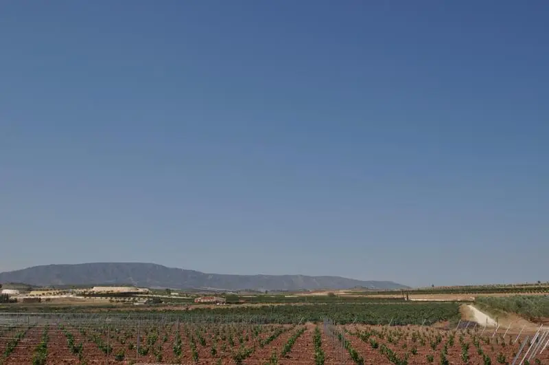Terreno en Venta cerca de Pinoso Alicante