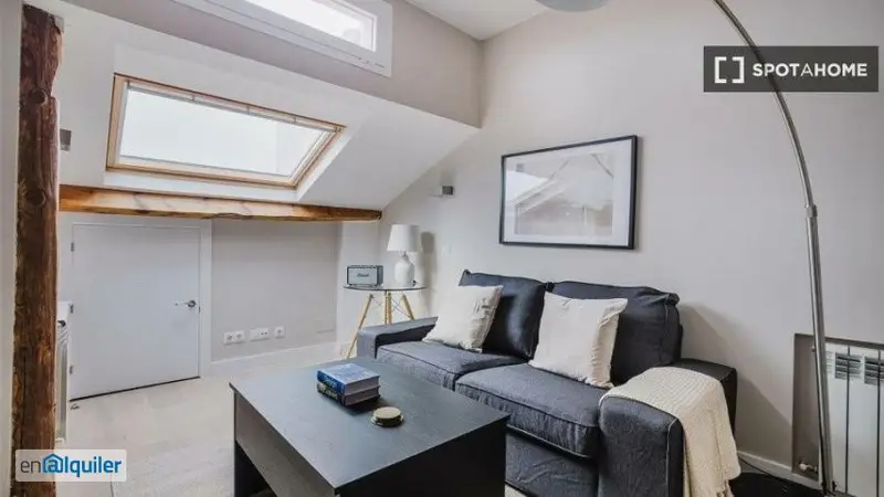 Apartamento 1 Dormitorio Madrid Alquiler