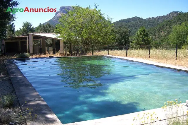 Venta  de Finca para granja con refugio en Albacete