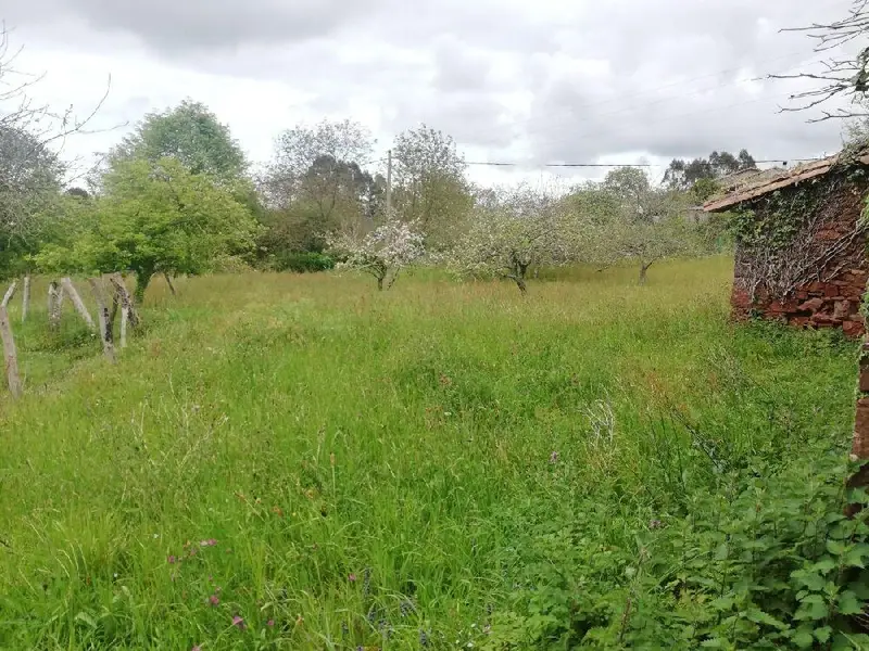 Venta Terreno Poreño Villaviciosa