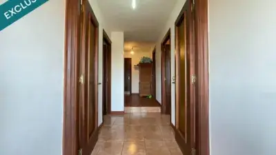 Casa Rústica en Venta Zona Rural: Dos Viviendas, Finca 9241m²